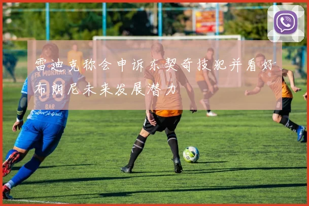 雷迪克称会申诉东契奇技犯并看好布朗尼未来发展潜力