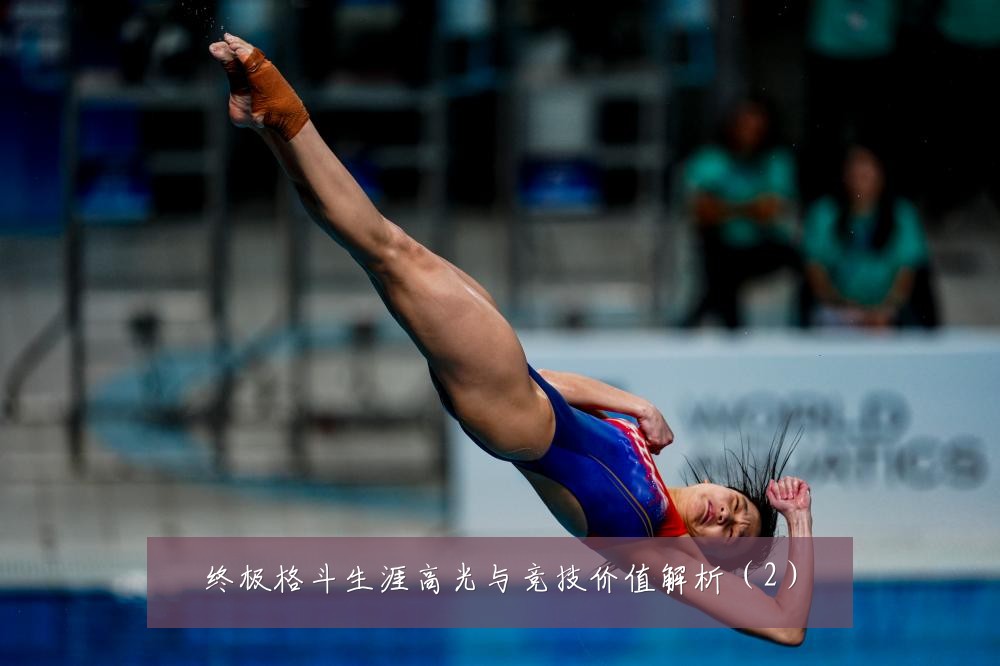 终极格斗生涯高光与竞技价值解析(2)